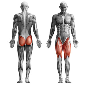 MF-U013 musculos en prensa de piernas de DKN